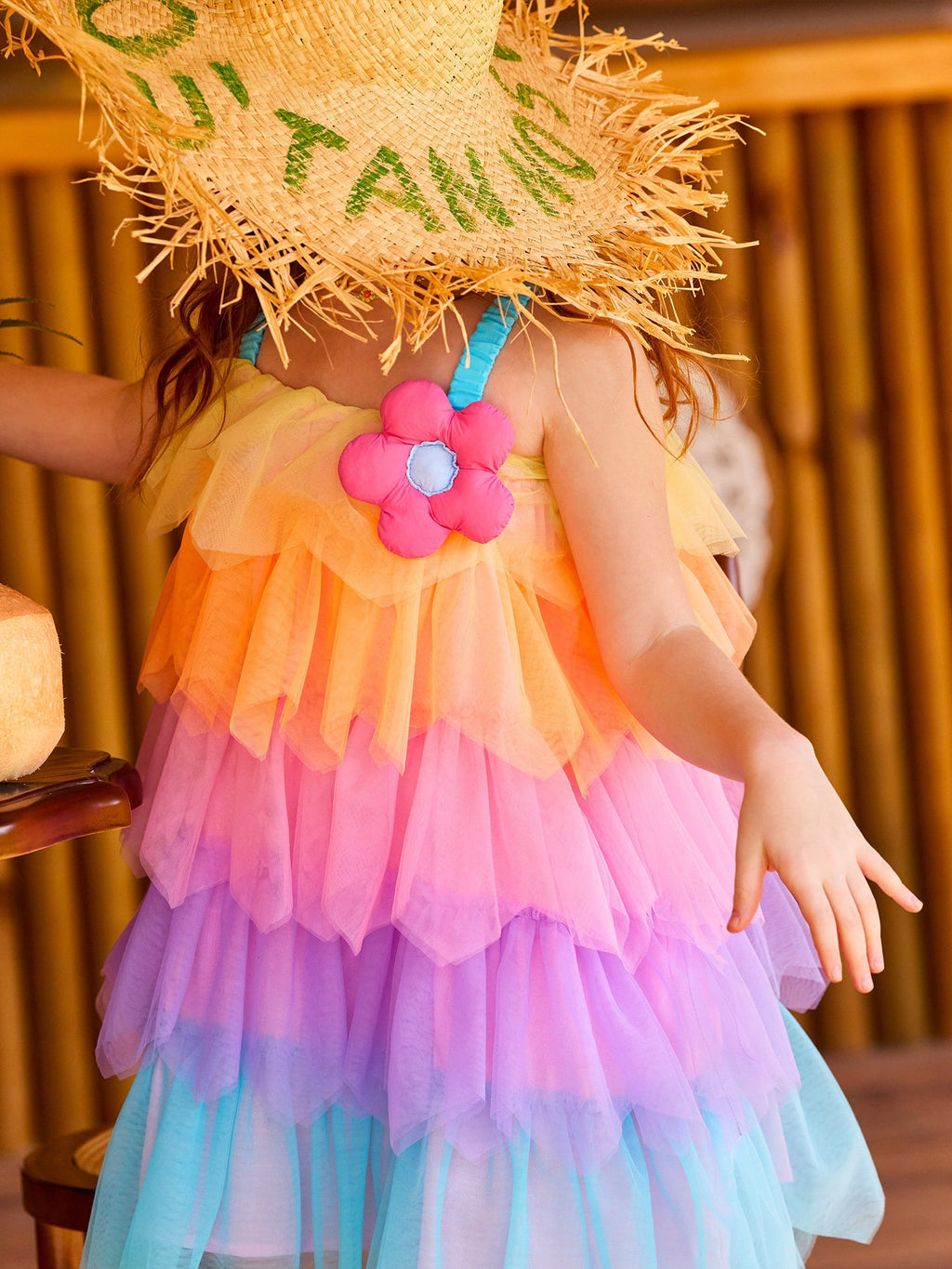 Rainbow Mesh Cake Dress