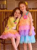 Rainbow Mesh Cake Dress