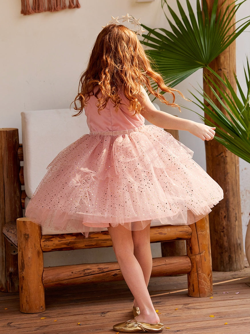 Sequin Sleeveless Mesh Party Dress